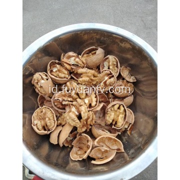 Jual Walnut Berkualitas Tinggi